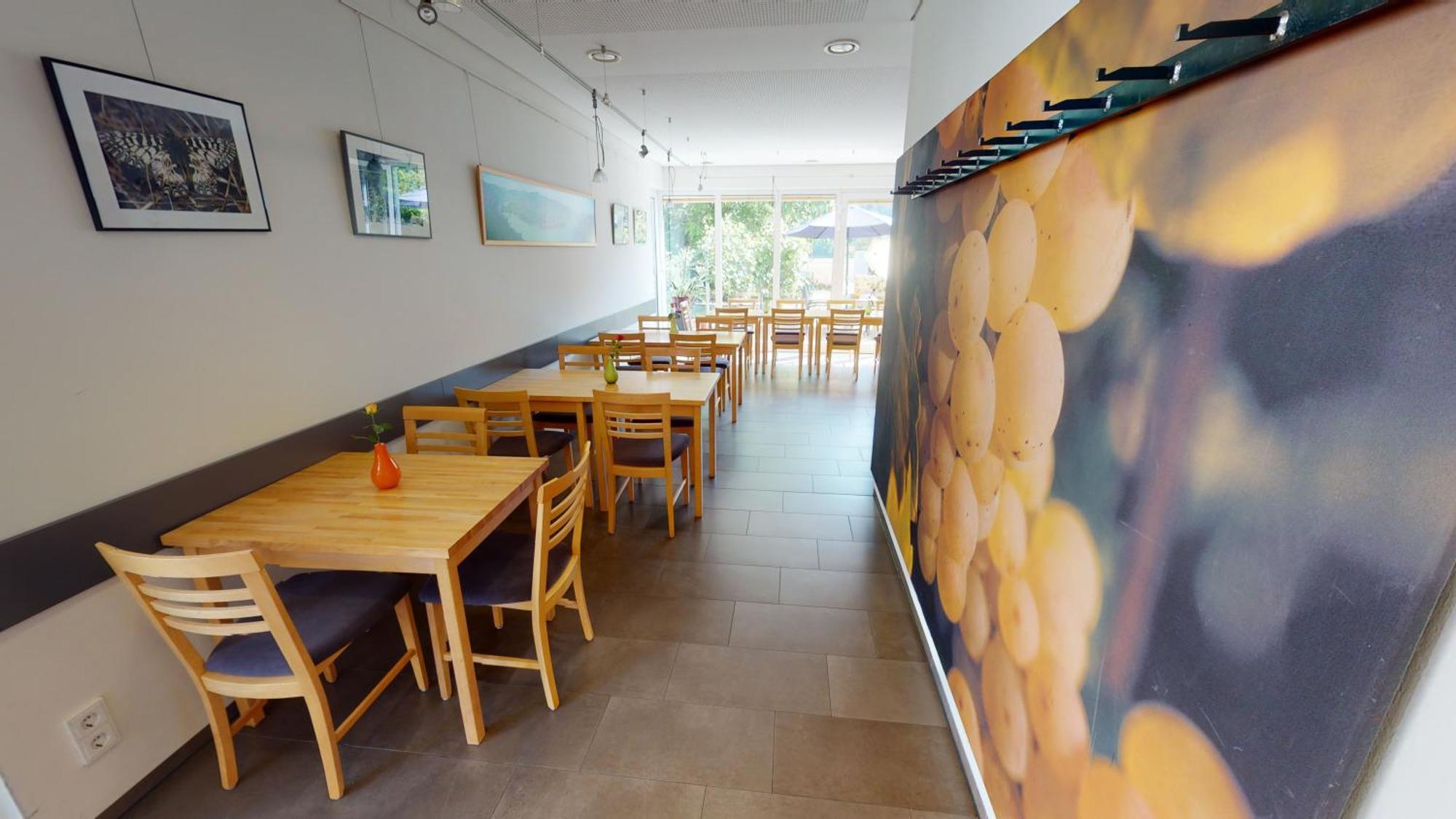 Apartament Weingut Baeuerl Dürnstein Zewnętrze zdjęcie
